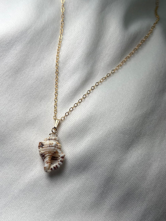 Triton shell pendant necklace