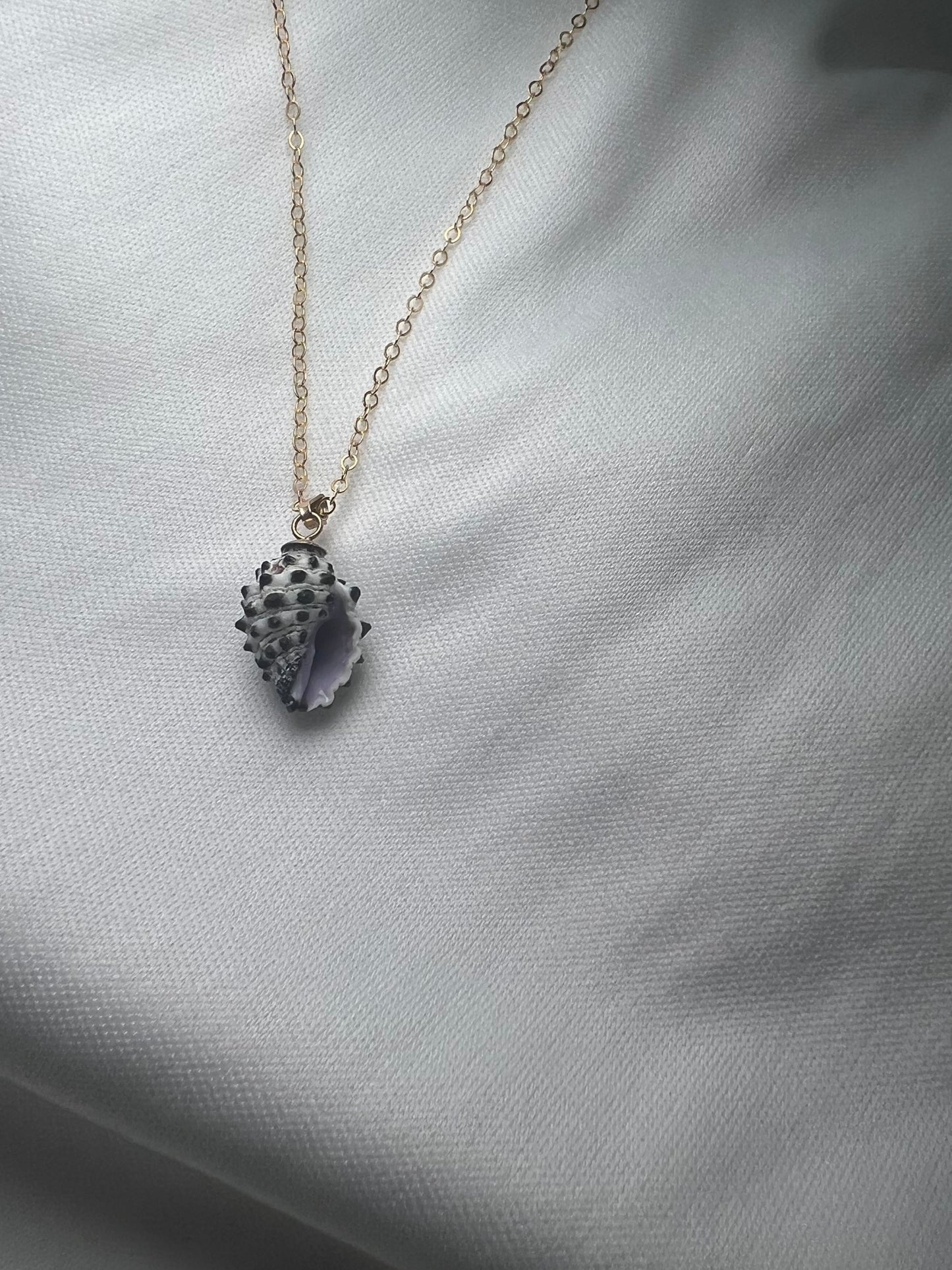 Grape drupe shell necklace