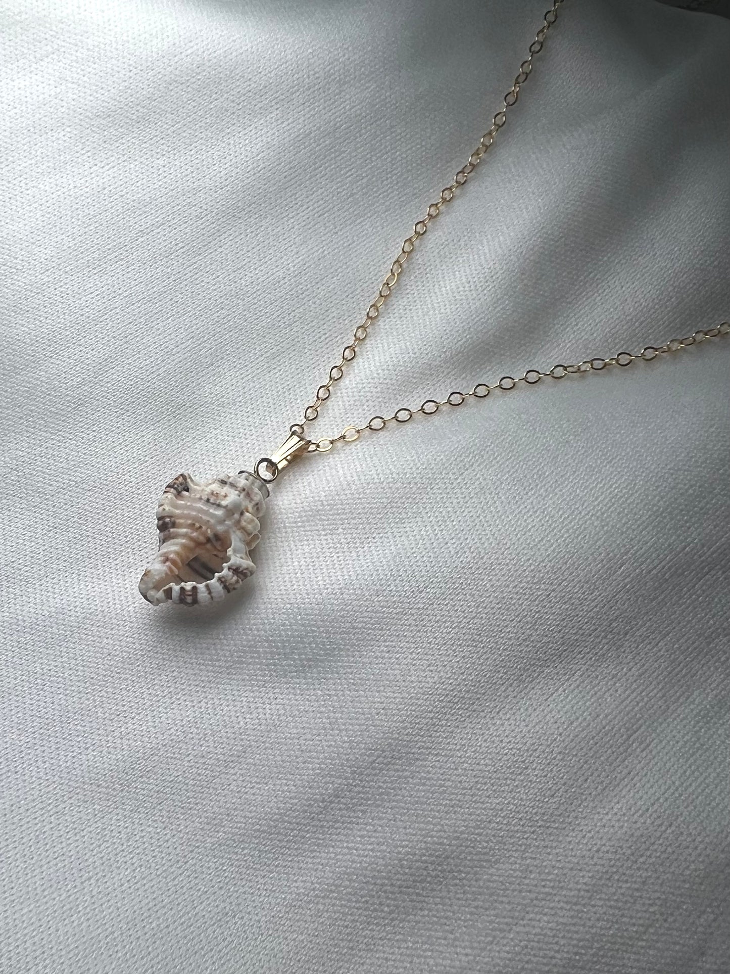 Triton shell pendant necklace