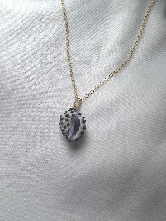 Grape drupe shell necklace