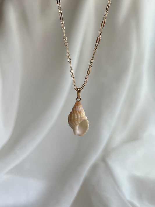 Pimple basket shell necklace